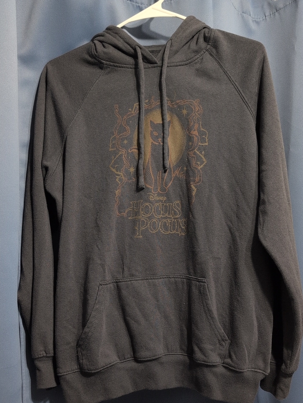 Disney Black Hocus Pocus Graphic Hoodie - Men's